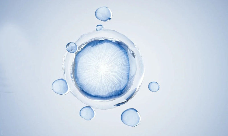 Exosomes Explained: The Science Behind Malaysia's Next Skincare Breakthrough