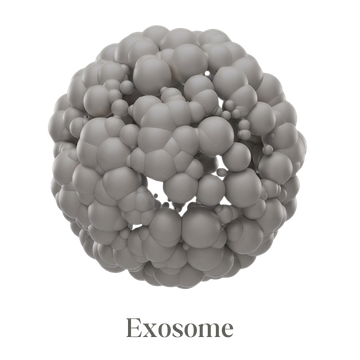 Discover The Science Behind